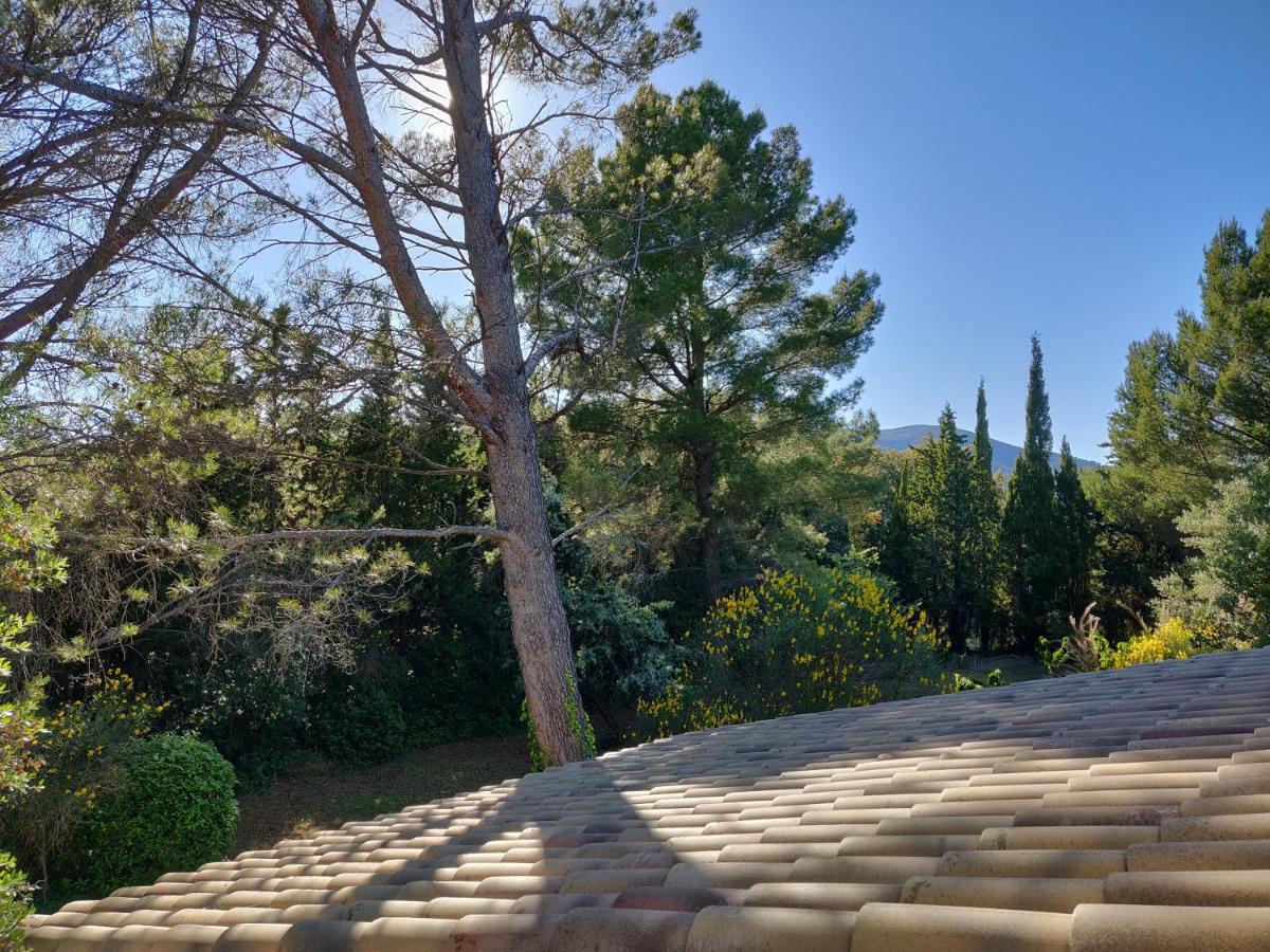 Bed and Breakfast La Luberonne Lourmarin Exterior foto